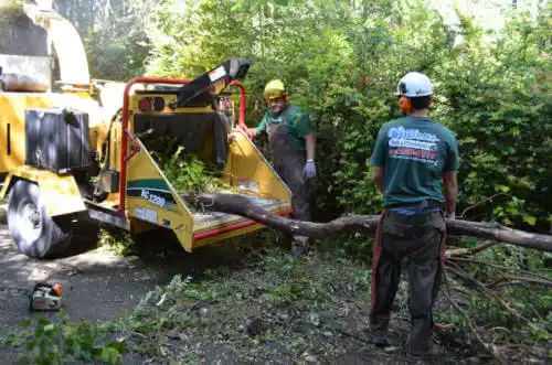 tree services Lyndon